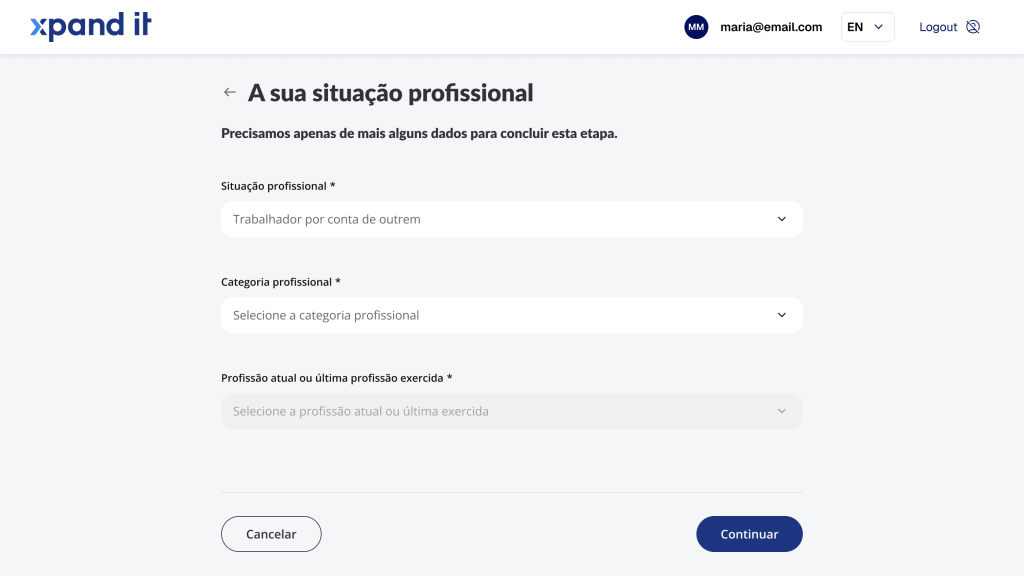 Xpand IT web form for “Professional status” displayed on desktop, showcasing consistent visual hierarchy and responsive design clarity.